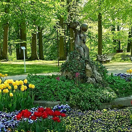 Hallerhof Hotel